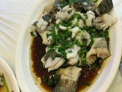 清蒸大石斑-梁溪河畔·吉府花园(南长街南下塘店)