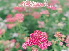-迪士尼小镇