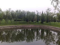 -石家庄市植物园