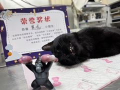 -瑞派宠物医院·24h·骨外科·皮肤科·全科宠物医疗转诊中心(沈阳浑南院)