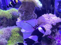-海合安青岛极地海洋公园