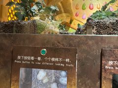 -佛山科学馆