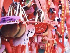 -帽儿山国家森林公园