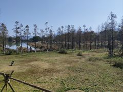 -三垟湿地