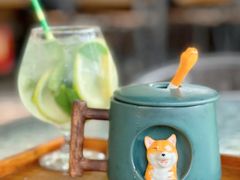 -柴犬高等学院·狗咖·柴犬售卖·宠物训练