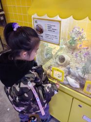 -神奇动物撸宠馆·羊驼·小浣熊·异宠(豫园店)