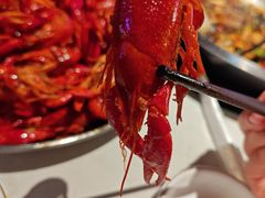 -海岛八号龙虾烧烤田鸡(蓝天路总店)