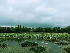 -长兴太湖图影湿地文化园