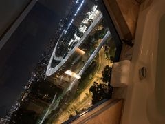 -新加坡丽思卡尔顿美年酒店