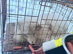 -长白山万达国际滑雪场
