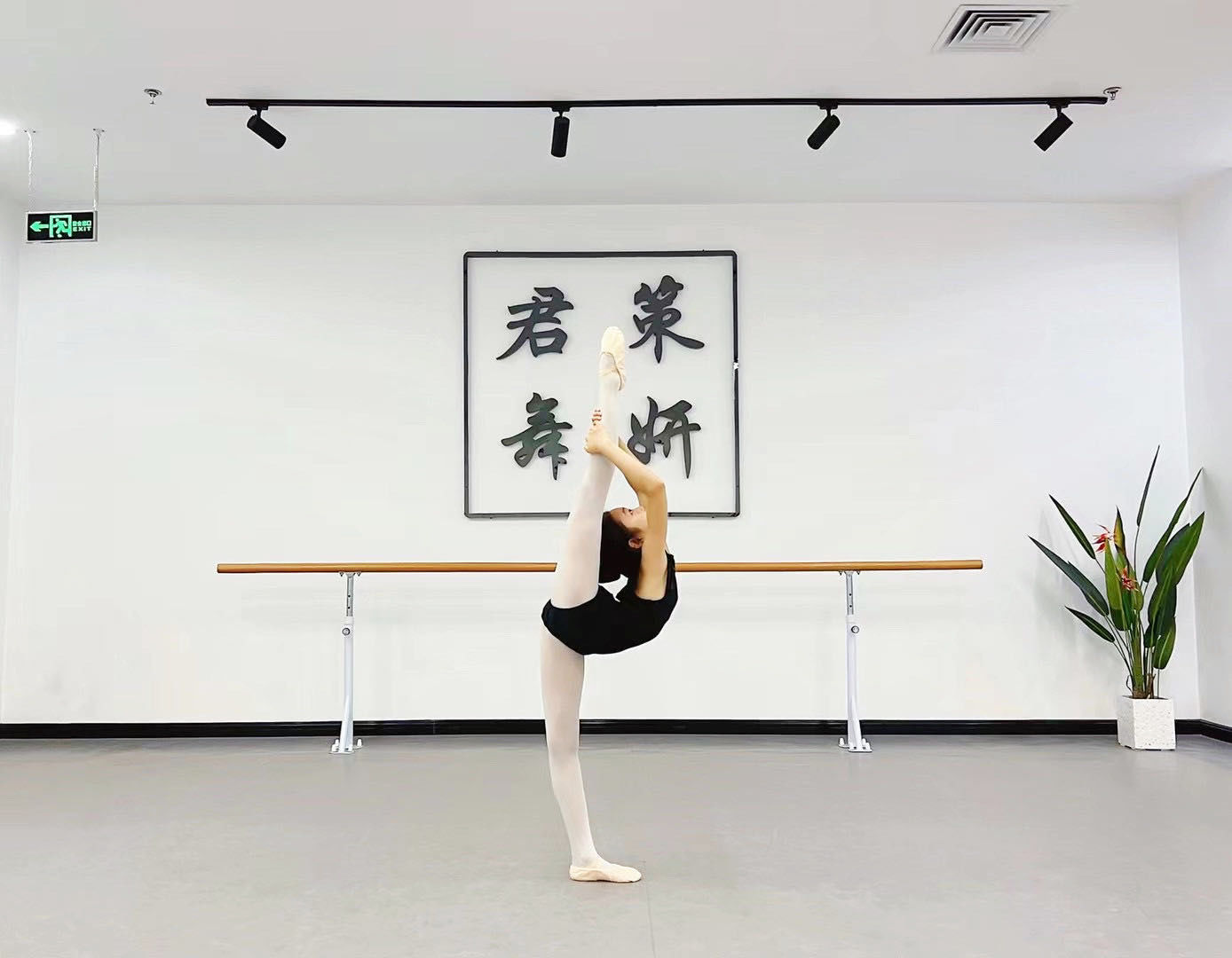 舞蹈基本功-搬后腿