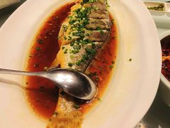 -沪碟·精菜坊(闵行店)