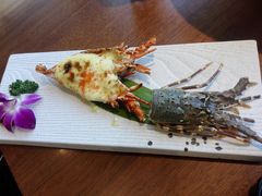 -九井澤精致料理(金茂店)