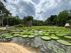 -中国科学院西双版纳热带植物园