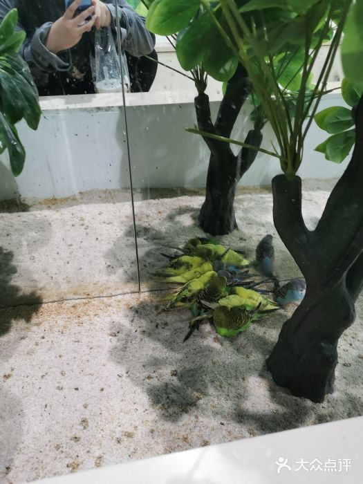 台州海洋世界图片