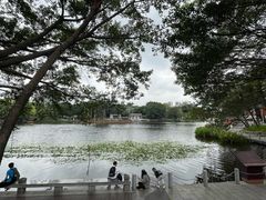 -荔湾湖公园