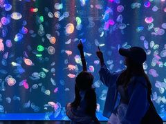 -海合安成都极地海洋公园