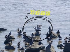 -深圳湾公园(南山区)