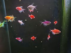 -欢乐海岸海洋奇梦馆