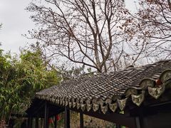 -上海方塔园