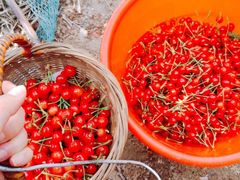 -崂山风景区-大河东游客中心