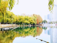 -天鹅湖体育公园