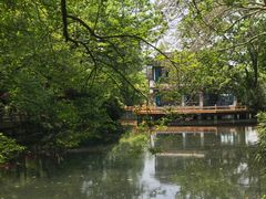 -西湖外事游船(花港观鱼码头)