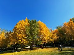 -北京理工大学(中关村校区)