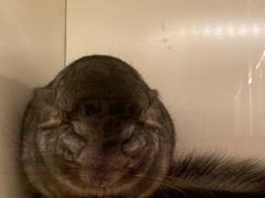 -龙猫仔乐园(惠福东路店)