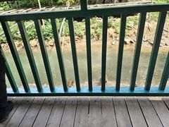 -西双版纳原始森林公园