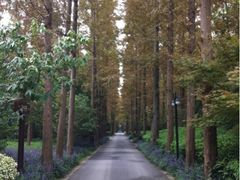 iphone_upload_pic-上海怡沁园度假酒店