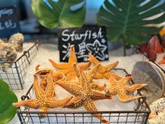 -Social 秀西餐厅-长沙瑞吉酒店(运达店)