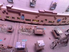 -陕西自然博物馆