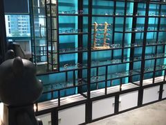 -Trend1881视光·蔡司视觉(领展广场店)