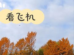 -西清公园