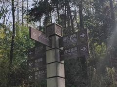 -潜山国家森林公园