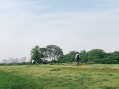 -盘龙城国家考古遗址公园