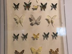 -陕西自然博物馆