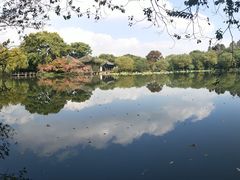 -西湖游船