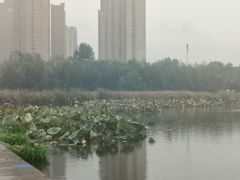 -前关湿地公园