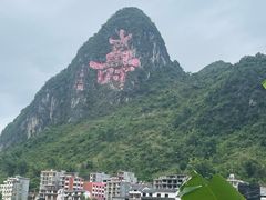 -长寿村