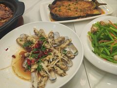 蛏子-美达尔烧烤(银川东路店)