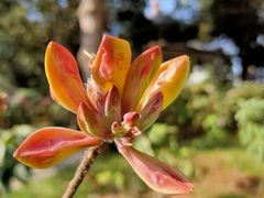 -昆明市金殿名胜区