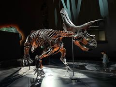 -墨尔本博物馆(Melbourne Museum)