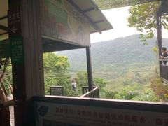 -呀诺达热带雨林