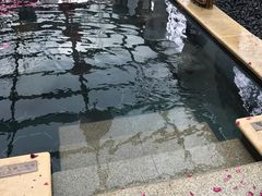 -苏州湾王焰温泉度假酒店