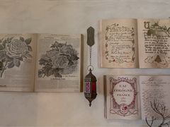 -春风·有糖(崇宁路店)