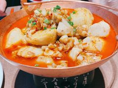 沸腾岩蛙-樽宴酒楼·地道川菜·品质宴请