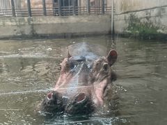 -石家庄市动物园