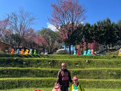 -云禾壹海景庄园餐厅
